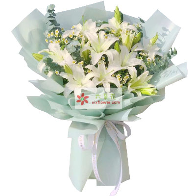 揭阳6支白色多头百合,温馨的祝福