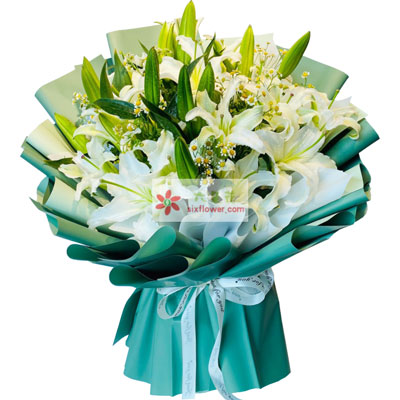 揭阳8支白色多头百合洋甘菊，如潮的思念